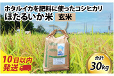 【訳あり】ほたるいか米（玄米30kg）【通年発送】 【訳あり 米 コシヒカリ こしひかり ほたるいか ホタルイカ お米 ブランド米 富山 滑川】
