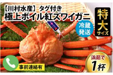 【先行予約】タグ付き極上ボイル紅ズワイガニ 冷蔵配送 川村水産※発送前に在宅確認の電話連絡をいたします！【25年度9月下旬以降順次配送】【紅ズワイガニ カニ ズワイガニ 紅ずわいがに かに 紅ズワイガニ カニ ズワイガニ 紅ずわいがに かに 紅ズワイガニ カニ ズワイガニ 紅ずわいがに かに 紅ズワイガニ カニ ズワイガニ 紅ずわいがに 冷蔵 チルド 北陸 滑川 ブランド蟹】