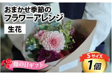 おまかせ季節のフラワーアレンジ（生花）Ｓサイズ  お好み、着日指定可能 母の日 花 ははの日 カーネーション 日本製  フラワーアレンジメント ギフト フラワーギフト 贈り物 贈答用 贈答 お花 フラワー お歳暮 花束 日付指定 [A-036001]