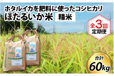 【先行予約】【新米】ほたるいか米（精米20kg）×3回 計60kg【3ヶ月定期便】25年10月開始【訳あり 米 コシヒカリ こしひかり ほたるいか ホタルイカ お米 ブランド米 富山 滑川】