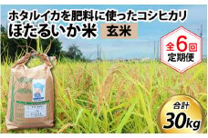 【訳あり】ほたるいか米（玄米５kg）×6回 計30kg【6ヶ月定期便】【訳あり 米 コシヒカリ こしひかり ほたるいか ホタルイカ お米 ブランド米 富山 滑川】