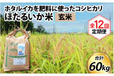 【訳あり】ほたるいか米（玄米５kg）×12回 計60kg【12ヶ月定期便】【訳あり 米 コシヒカリ こしひかり ほたるいか ホタルイカ お米 ブランド米 富山 滑川】