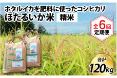 【先行予約】【新米】ほたるいか米（精米20kg）×6回 計120kg【6ヶ月定期便】25年10月開始【訳あり 米 コシヒカリ こしひかり ほたるいか ホタルイカ お米 ブランド米 富山 滑川】
