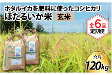【先行予約】【新米】ほたるいか米（玄米20kg）×6回 計120kg【6ヶ月定期便】25年10月開始【訳あり 米 コシヒカリ こしひかり ほたるいか ホタルイカ お米 ブランド米 富山 滑川】