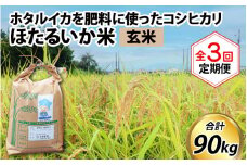 【訳あり】ほたるいか米（玄米30kg）×3回 計90kg【3ヶ月定期便】【訳あり 米 コシヒカリ こしひかり ほたるいか ホタルイカ お米 ブランド米 富山 滑川】