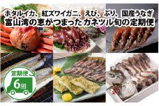 【数量限定】富山湾の恵がつまった カネツル旬の定期便（ホタルイカ、紅ズワイガニ、えび、ぶり、国産うなぎ）【 頒布会 人気 旬 おつまみ ご当地 定期 珍味 海鮮 カネツル砂子商店 ほたるいか 海老 鰤 鰻 ブリ エビ ウナギ 紅ずわいがに ずわいがに いか イカ ずわい ズワイ ズワイガニ 魚介 魚貝 国産 白焼き 活漬け 塩ぶり 塩ブリ 白えび 白エビ 白海老 】