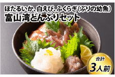 富山湾どんぶりセット 約３人前【数量限定 海鮮丼 冷凍 朝どれ ほたるいか ホタルイカ 刺身 海老 白えび 白エビ ふくらぎ ブリ ぶり 漬け カネツル砂子商店】