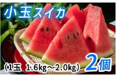 【先行予約】小玉スイカ（ピノガール）　種まで食べられるスイカ ＊26年7月上旬以降順次発送　フルーツ 夏 スイカ 西瓜 果物 くだもの すいか ピノガール ピノ・ガール 小玉すいか 滑川市 富山 北陸 【2026年7月上旬以降順次発送】