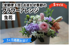 【定期便3回】おまかせ季節のフラワーアレンジ（生花）Ｓサイズ×3ヶ月 お好み 日時指定可能 母の日