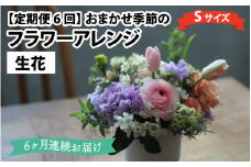 【定期便6回】おまかせ季節のフラワーアレンジ（生花）Ｓサイズ×6ヶ月 お好み 日時指定可能