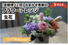 【定期便12回】おまかせ季節のフラワーアレンジ（生花）Ｓサイズ×12ヶ月 お好み 日時指定可能 母の日