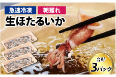 生 ホタルイカ 急速冷凍 【 急速冷凍 生 イカ刺身 しゃぶしゃぶ 朝とれ ほたるいか 蛍烏賊 いか イカ 烏賊 海鮮 小分け 3パック グルメ おつまみ 肴 カネツル砂子商店】[A-002011]