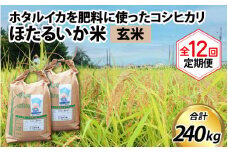 【訳あり】ほたるいか米（玄米20kg）×12回 計240kg【12ヶ月定期便】【訳あり 米 コシヒカリ こしひかり ほたるいか ホタルイカ お米 ブランド米 富山 滑川】[O-021002]