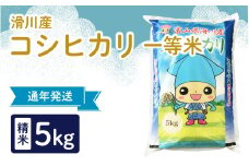 滑川産コシヒカリ（精米5kg）【通年発送】[A-007005]