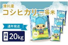 滑川産コシヒカリ（精米20kg）【通年発送】[D-007001]