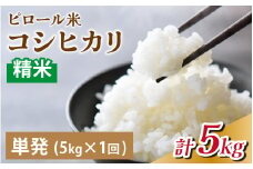 【先行予約】25年10月中旬以降順次発送　富山県滑川産 弱アルカリ性米「ピロール農法米 コシヒカリ」与文のお米 精米5kg [A-050002] / 産地直送 こしひかり おにぎり お米 白米 国産 ご飯 ごはん 滑川市 ピロール アグリめぐみ 頒布会  アトピー 米 米 ピロール米 米 こめ コメ コシヒカリ