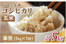 【先行予約】25年10月中旬以降順次発送　富山県滑川産 弱アルカリ性米「ピロール農法米 コシヒカリ」与文のお米 玄米5kg [A-050001] / 産地直送 こしひかり おにぎり お米 国産 ご飯 ごはん 滑川市 ピロール アグリめぐみ 頒布会 アトピー 米 ピロール米 米 こめ コメ コシヒカリ