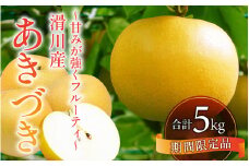 【先行予約】梨（あきづき）5kg　8玉～12玉 [A-014003] ※2025年9月中旬以降順次発送予定 / なし フルーツ 期間限定 送料無料　滑川市 富山県フルーツ 果物 くだもの なし 滑川市 新山果樹園