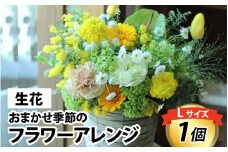 おまかせ季節のフラワーアレンジ（生花）L サイズ お好み、着日指定可能  母の日 ははの日 プレゼント お祝い フラワーギフト フラワーアレンジメント 花束 カゴ バスケット 花屋 植物 富山県 滑川市 コンシェルジュ [C-036002]