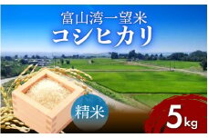 【先行予約】新米 富山湾一望米　コシヒカリ 精米 【容量5kg】【2025年10月より順次発送】農家直送 米 定期便 選べる 精米 富山県滑川産お米 産地直送 袋 ブランド米 お米 白米 こしひかり