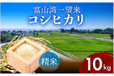 【先行予約】新米 富山湾一望米　コシヒカリ 精米 【容量10kg】【2025年10月より順次発送】 農家直送 米 定期便 選べる 精米 富山県滑川産お米 産地直送 袋 ブランド米 お米 白米 こしひかり