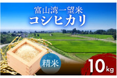 【先行予約】新米 富山湾一望米　コシヒカリ 精米 【容量10kg】【2025年10月より順次発送】 農家直送 米 定期便 選べる 精米 富山県滑川産お米 産地直送 袋 ブランド米 お米 白米 こしひかり