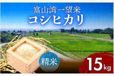 【先行予約】新米 富山湾一望米　コシヒカリ 精米 【容量15kg】【2025年10月より順次発送】農家直送 米 定期便 選べる 精米 富山県滑川産お米 産地直送 袋 ブランド米 お米 白米 こしひかり