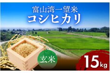 【先行予約】新米 富山湾一望米　コシヒカリ 玄米 【容量15kg】【2025年10月より順次発送】農家直送 米 定期便 選べる 玄米 富山県滑川産お米 産地直送 袋 ブランド米 お米 白米 こしひかり