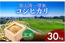 【先行予約】新米 富山湾一望米　コシヒカリ 玄米 【容量30kg】【2025年10月より順次発送】 農家直送 米 定期便 選べる 玄米 富山県滑川産お米 産地直送 袋 ブランド米 お米 白米 こしひかり