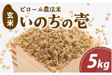 【先行予約】富山県滑川市産　弱アルカリ性米　「ピロール農法米　いのちの壱」玄米5kg【2025年10月中旬より順次発送】 / 産地直送 袋 ブランド米 お米 米 ご飯 ごはん 富山 滑川市 アグリめぐみ農家直送 おこめ