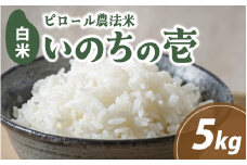 【先行予約】富山県滑川市産　弱アルカリ性米　「ピロール農法米　いのちの壱」精米5kg【2025年10月中旬より順次発送】 / 産地直送 袋 ブランド米 お米 米 ご飯 ごはん 富山 滑川市 アグリめぐみ 農家直送 おこめ