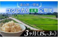 【先行予約】新米 富山湾一望米　コシヒカリ 玄米 3ヶ月定期便【容量15kg】【2025年10月より順次発送】農家直送 米 定期便 選べる 玄米 富山県滑川産お米 産地直送 袋 ブランド米 お米 白米 こしひかり 定期便 3ヶ月 3か月 3回 15キロ 45kg 45キロ