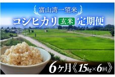 【先行予約】新米 富山湾一望米　コシヒカリ 玄米 6ヶ月定期便【容量15kg】【2025年10月より順次発送】農家直送 米 定期便 選べる 玄米 富山県滑川産お米 産地直送 袋 ブランド米 お米 白米 こしひかり 定期便 6ヶ月 6か月 6回 15キロ 90kg 90キロ