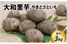 【先行予約】さといも 大和里芋（やまと）3kg【2025年11月上旬より順次発送予定】| 野菜 芋 イモ 根菜 いも 煮物 旬 味覚 秋