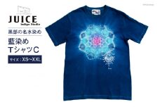 [No.5313-7058]0256Tシャツ ASCENSION  藍染め タイダイ TシャツC 1枚 L