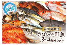 [№5313-0004]魚 富山湾直送 さばいた鮮魚セット 3～4種 旬 新鮮 鮮魚 刺身 詰め合わせ 産地直送 冷蔵/くろべ漁業協同組合 魚の駅「生地」/富山県 黒部市
