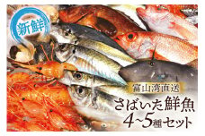 [№5313-0008]魚 富山湾直送 さばいた鮮魚セット 4～5種 旬 新鮮 鮮魚 刺身 詰め合わせ 産地直送 冷蔵/くろべ漁業協同組合 魚の駅「生地」/富山県 黒部市