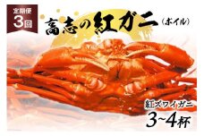 [№5313-0016]定期便 紅 ズワイガニ ボイル 高志の紅ガニ 3～4杯×3回 カニ 蟹 期間限定 冷蔵/くろべ漁業協同組合 魚の駅「生地」/富山県 黒部市
