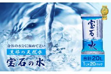 [№5313-0018]水 【20パック】宝石の水　1L×20パック/非常用 備蓄用 常温 常温保存 備蓄水/北陸/丸田工業株式会社/富山県黒部市