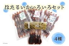 [№5313-0055]ほたるいかいろいろセット