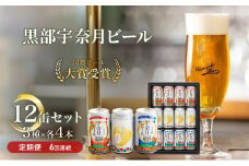 [№5313-0065]ビール ふるさと定期便 宇奈月ビール12缶セット×6回（6か月連続発送）/地ビール クラフトビール 北陸 缶/富山県黒部市