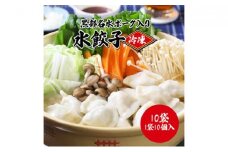 [№5313-0075]黒部名水ポーク入り水餃子 10個×10袋 冷凍 餃子 ぎょうざ/黒部まちづくり協議会（スターゲイト新川）/富山県 黒部市