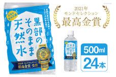 [№5313-0077]黒部のそのまま天然水500ml×24本 水 飲料水 名水 ナチュラルミネラルウォーター/黒部まちづくり協議会/富山県 黒部市 [20780423]