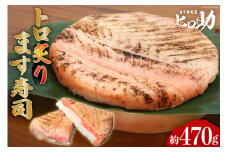 [№5313-0083]トロ 炙り ます寿司 470g 鱒寿司 押し寿司 富山名物 冷蔵/ます寿司屋ヒロ助/富山県 黒部市