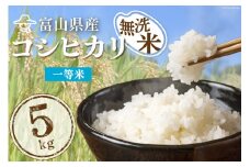 [№5313-0080]米 無洗米 コシヒカリ 5kg ご飯 ごはん 白米 精米/林農産/富山県 黒部市