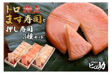 [№5313-0110]トロ特上 ます寿司 430g×1個＆押し寿司 3種 各35g×6個 計18個 セット 鱒寿司 押し寿司 富山名物 化粧箱 食べ比べ 冷蔵/ます寿司屋ヒロ助/富山県 黒部市