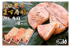 [№5313-0111]トロ炙り ます寿司 400g×1個＆押し寿司 3種 各35g×6個 計18個 セット 鱒寿司 押し寿司 富山名物 化粧箱入 食べ比べ 冷蔵/ます寿司屋ヒロ助/富山県 黒部市