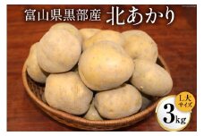 [№5313-0174]黒部産 じゃがいも（北あかり）3kg/くろべの太陽/富山県 黒部市