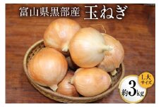 [№5313-0175]玉ねぎ 1箱 約3kg（L大サイズ）/くろべの太陽/富山県 黒部市