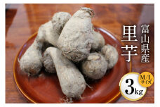 [№5313-0173]富山県産 里芋 3kg/くろべの太陽/富山県 黒部市